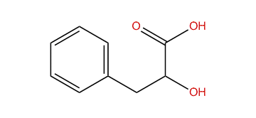3-Phenyllactic acid